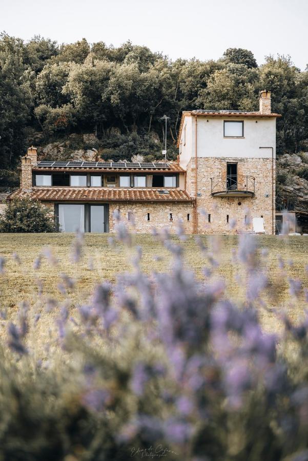 La Casa Del Tartufo Leilighet Torri in Sabina Eksteriør bilde